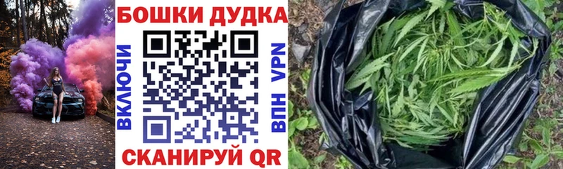 Цена Шарья Лсд 25  ГАШ  Каннабис  Псилоцибиновые грибы 