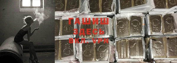 сатива Арсеньев